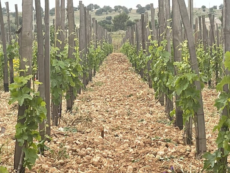 PHOTO-2022-04-30-13-11-33