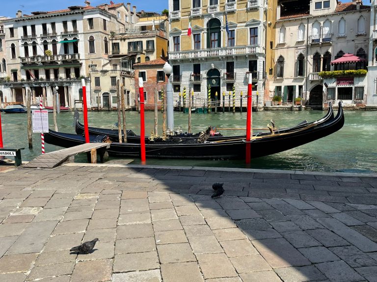 PHOTO-2022-05-03-07-11-13 2